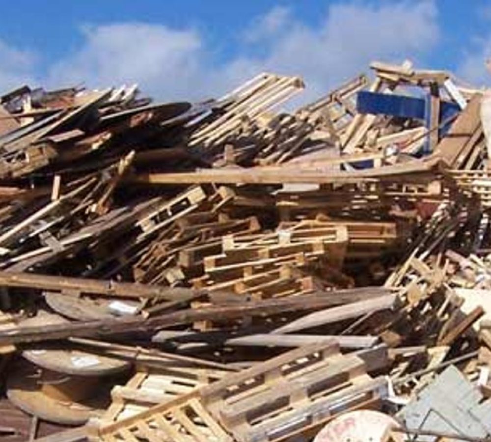 sirocchi smaltimento legno